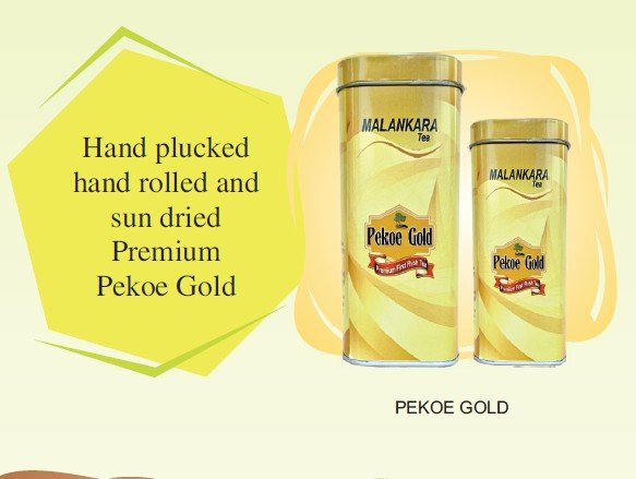 PEKOE Gold